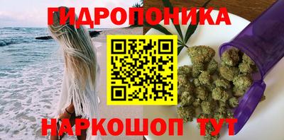 не бодяженный Кингисепп