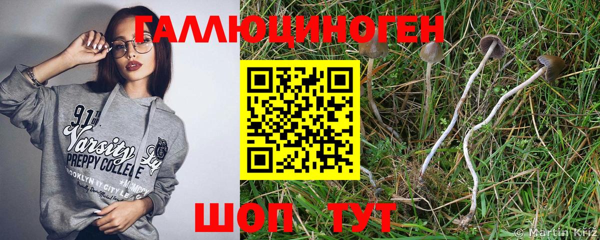 Галлюциногенные грибы GOLDEN TEACHER Туймазы