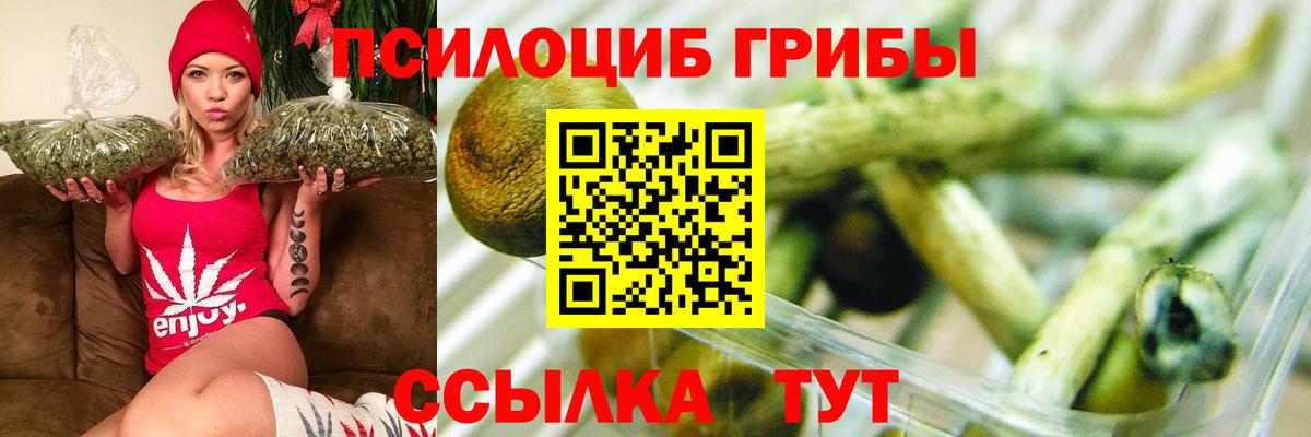 Галлюциногенные грибы MAGIC MUSHROOMS  Вход с VPN  Туймазы  Галлюциногенные грибы GOLDEN TEACHER 